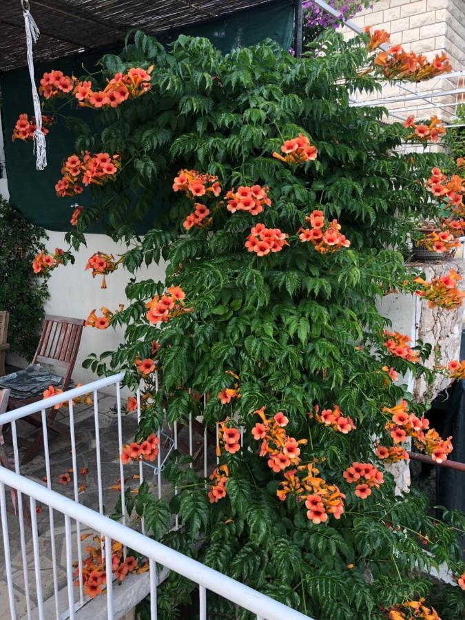 Cozy New Flat For 2 Or 3 Apartment Hvar Town Bagian luar foto