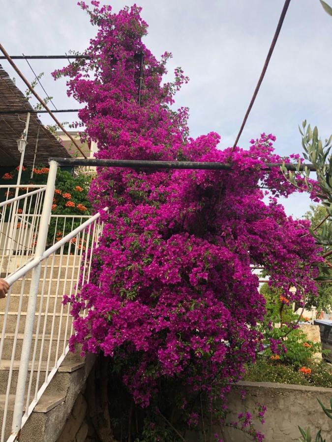 Cozy New Flat For 2 Or 3 Apartment Hvar Town Bagian luar foto