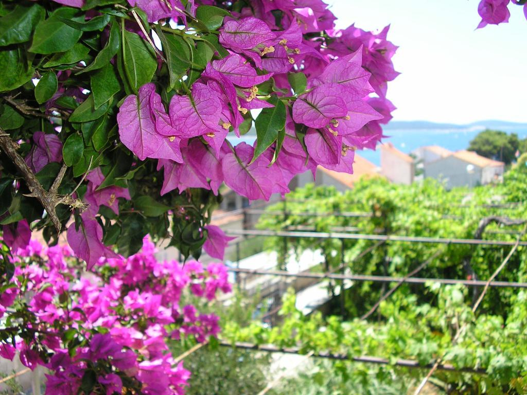 Cozy New Flat For 2 Or 3 Apartment Hvar Town Bagian luar foto